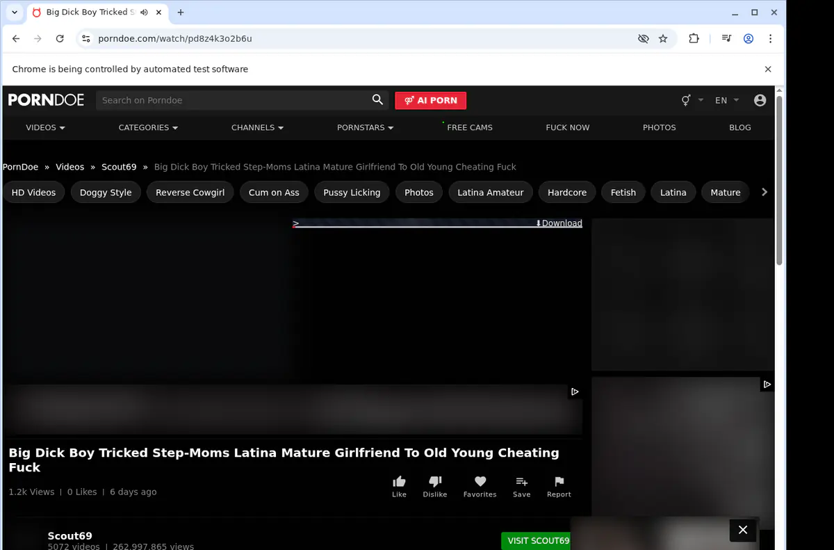 Porndoe Video Downloader screenshot 3