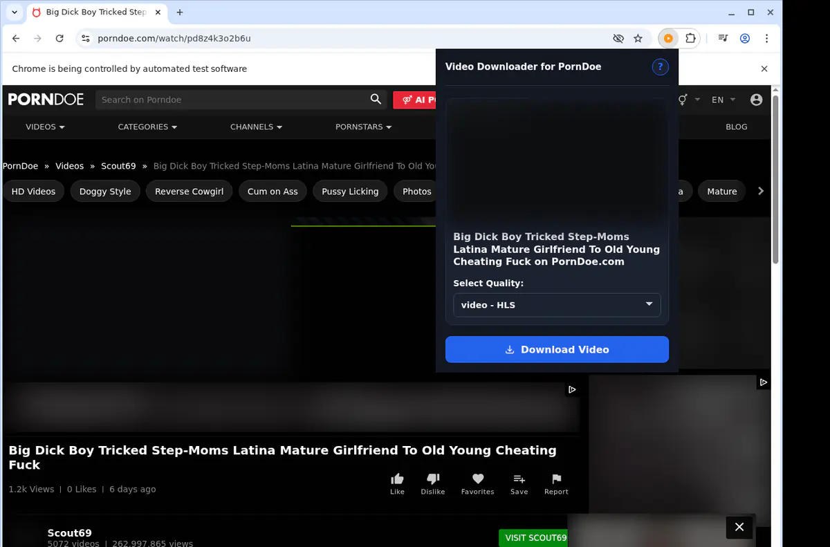 Porndoe Video Downloader screenshot 4